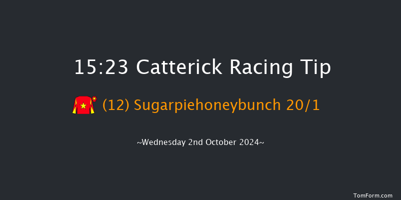 Catterick  15:23 Handicap (Class 6) 16f Tue 10th Sep 2024