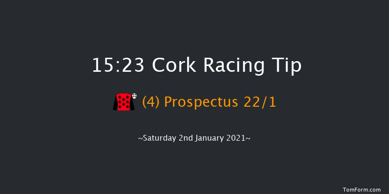 GAIN Handicap Chase Cork 15:23 Handicap Chase 20f Sun 6th Dec 2020