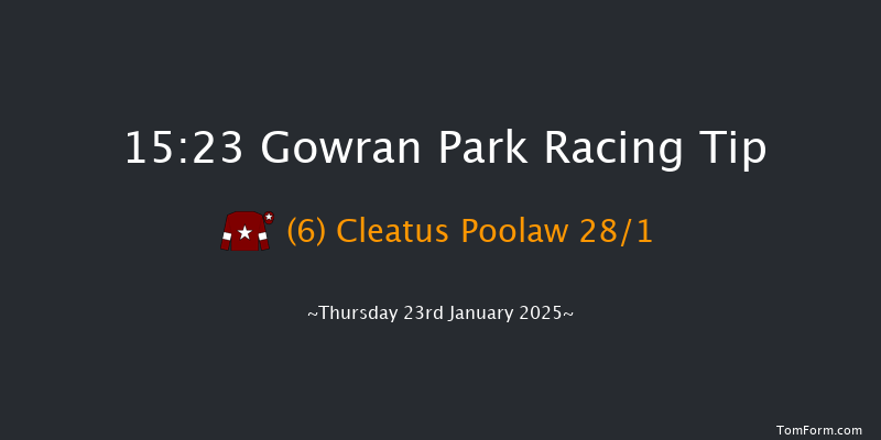 Gowran Park  15:23 Beginners Chase 20f Sat 9th Nov 2024