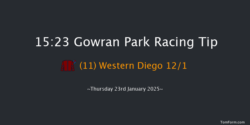 Gowran Park  15:23 Beginners Chase 20f Sat 9th Nov 2024