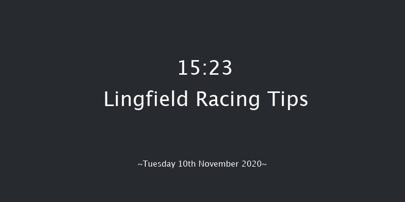 Weatherbys Racing Diaries Handicap Hurdle Lingfield 15:23 Handicap Hurdle (Class 3) 23f Wed 4th Nov 2020