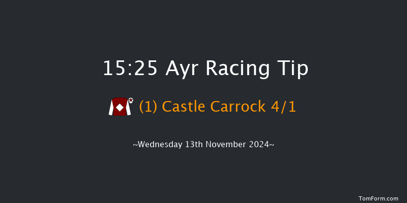Ayr  15:25 NH Flat Race (Class 5) 16f Sat 2nd Nov 2024