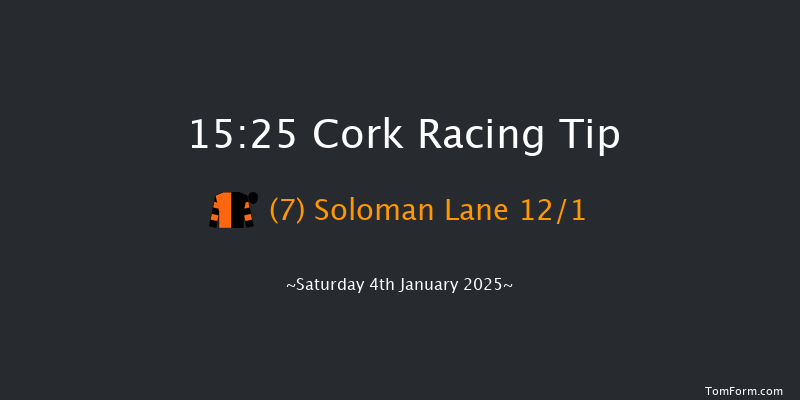 Cork  15:25 Handicap Chase 20f Fri 13th Dec 2024