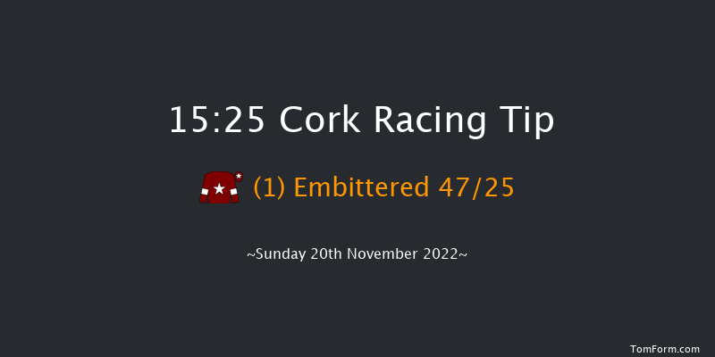Cork 15:25 Handicap Chase 17f Sun 6th Nov 2022