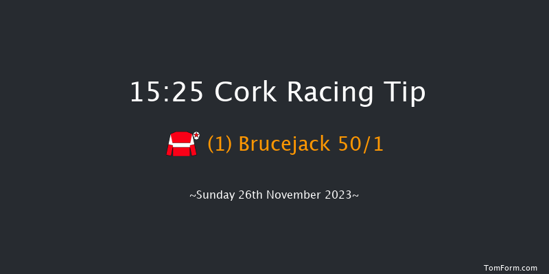 Cork 15:25 Maiden Chase 21f Sun 5th Nov 2023