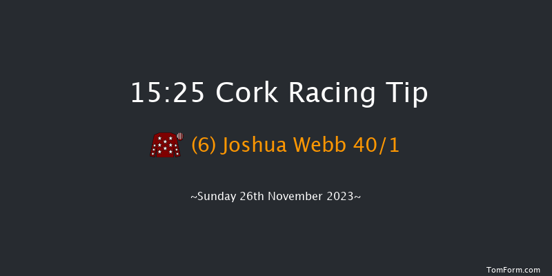 Cork 15:25 Maiden Chase 21f Sun 5th Nov 2023