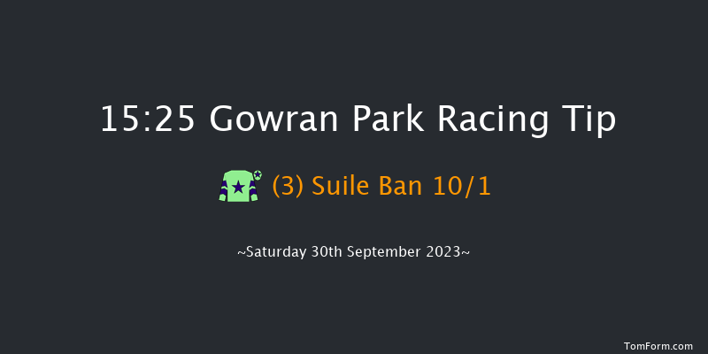 Gowran Park 15:25 Handicap Hurdle 20f Fri 29th Sep 2023