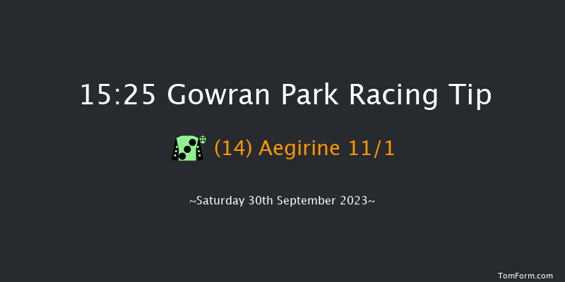 Gowran Park 15:25 Handicap Hurdle 20f Fri 29th Sep 2023