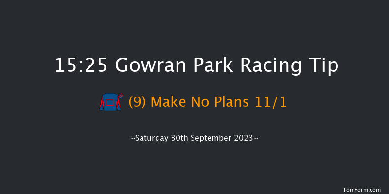 Gowran Park 15:25 Handicap Hurdle 20f Fri 29th Sep 2023