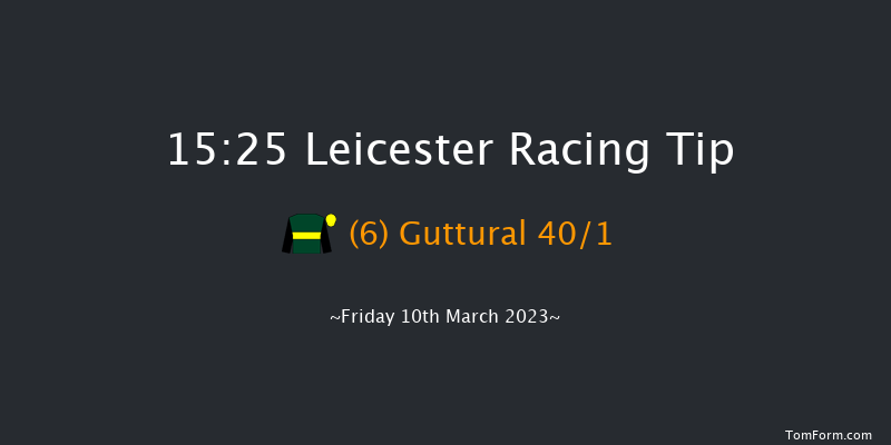 Leicester 15:25 Handicap Chase (Class 5) 20f Tue 28th Feb 2023