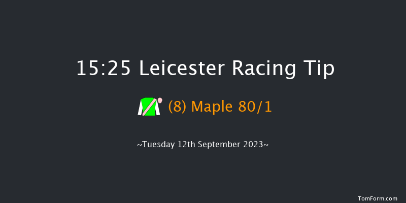Leicester 15:25 Stakes (Class 4) 7f Wed 23rd Aug 2023