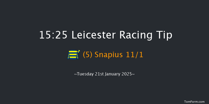 Leicester  15:25 Handicap Hurdle (Class 4) 16f Sat 28th Dec 2024