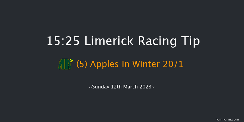 Limerick 15:25  Maiden Hurdle 24f Tue 31st Jan 2023