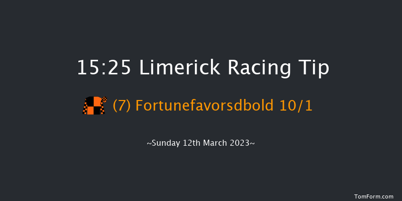 Limerick 15:25  Maiden Hurdle 24f Tue 31st Jan 2023