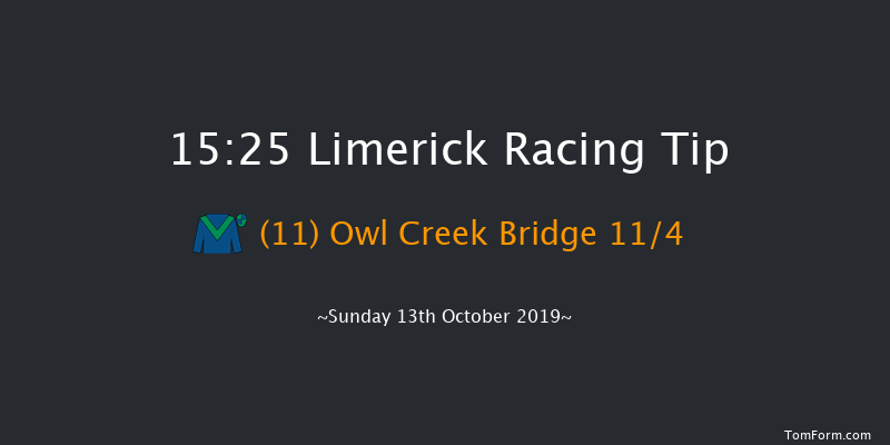 Limerick 15:25 Handicap Hurdle 24f Sat 12th Oct 2019