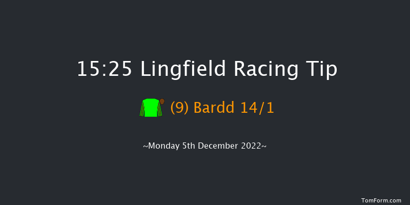 Lingfield 15:25 Handicap Chase (Class 5) 24f Wed 30th Nov 2022