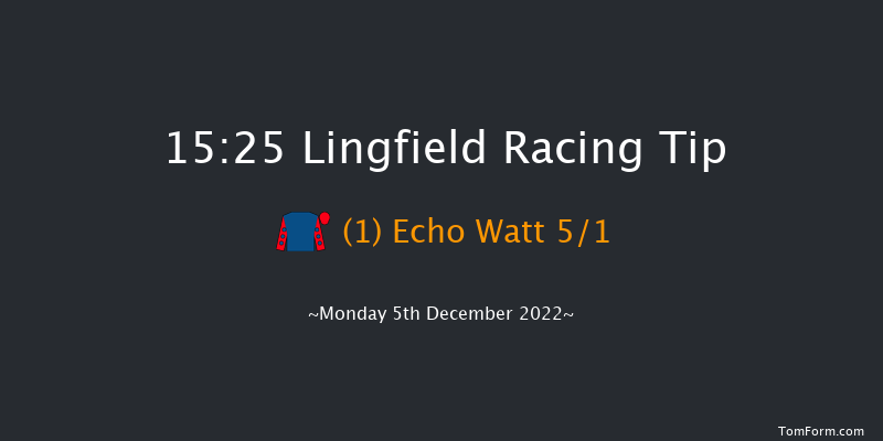 Lingfield 15:25 Handicap Chase (Class 5) 24f Wed 30th Nov 2022