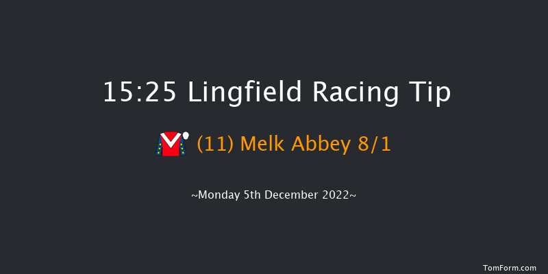 Lingfield 15:25 Handicap Chase (Class 5) 24f Wed 30th Nov 2022