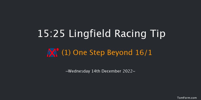 Lingfield 15:25 Handicap (Class 6) 10f Mon 12th Dec 2022
