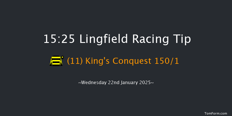 Lingfield  15:25 Handicap (Class 6) 10f Sat 18th Jan 2025