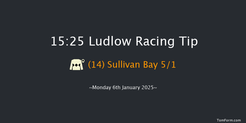 Ludlow  15:25 Handicap Hurdle (Class 5) 21f Wed 18th Dec 2024