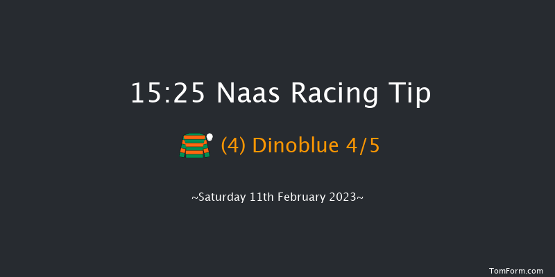 Naas 15:25 Conditions Chase 16f Sun 29th Jan 2023