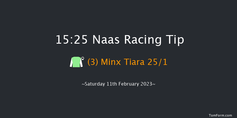 Naas 15:25 Conditions Chase 16f Sun 29th Jan 2023