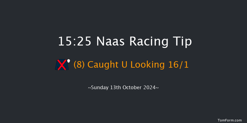 Naas  15:25 Listed 12f Sat 12th Oct 2024