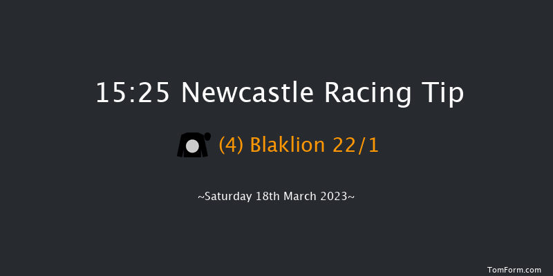 Newcastle 15:25 Handicap Chase (Class 3) 23f Fri 17th Mar 2023