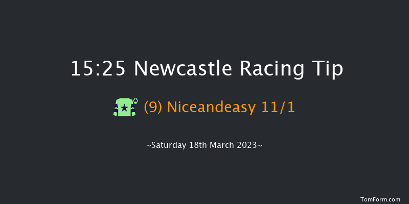 Newcastle 15:25 Handicap Chase (Class 3) 23f Fri 17th Mar 2023