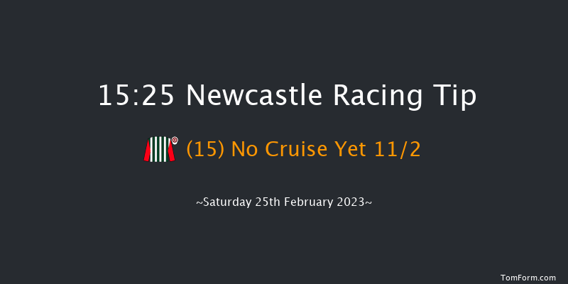 Newcastle 15:25 Handicap Chase (Class 2) 33f Thu 23rd Feb 2023