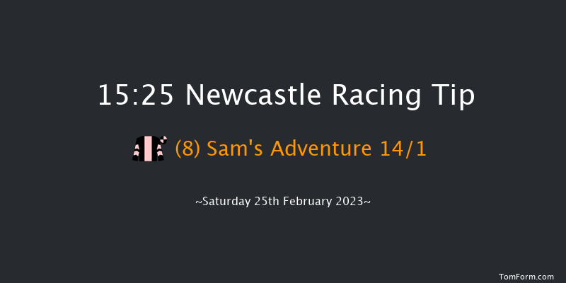 Newcastle 15:25 Handicap Chase (Class 2) 33f Thu 23rd Feb 2023