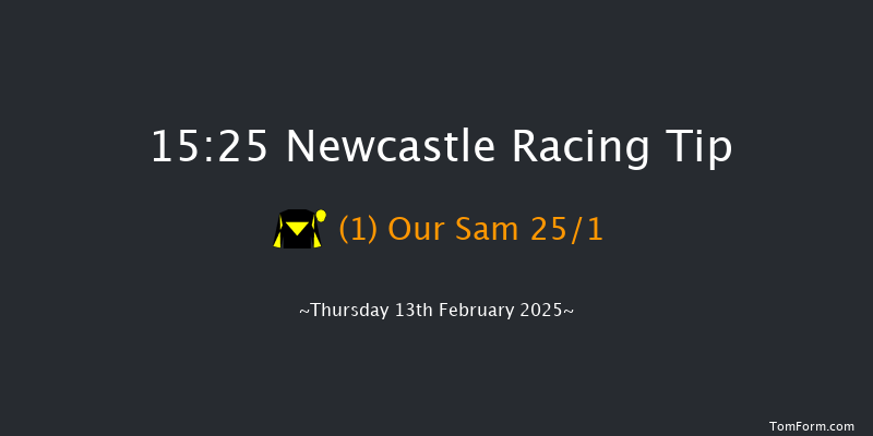 Newcastle  15:25 Handicap Hurdle (Class 4) 20f Sat 8th Feb 2025