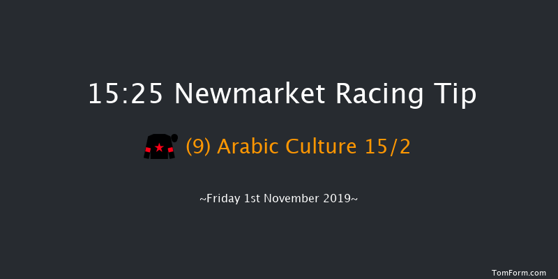 Newmarket 15:25 Handicap (Class 4) 12f Wed 23rd Oct 2019