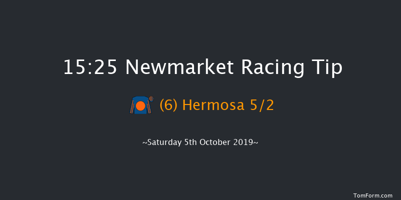 Newmarket 15:25 Group 1 (Class 1) 8f Sat 28th Sep 2019