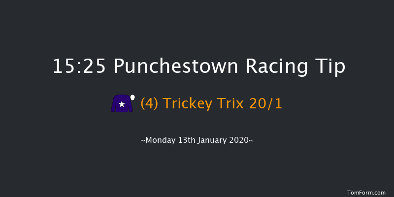 Punchestown 15:25 Handicap Hurdle 24f Sun 12th Jan 2020