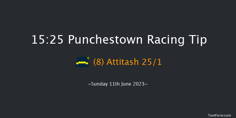 Punchestown 15:25 Handicap Hurdle 20f Sat 10th Jun 2023