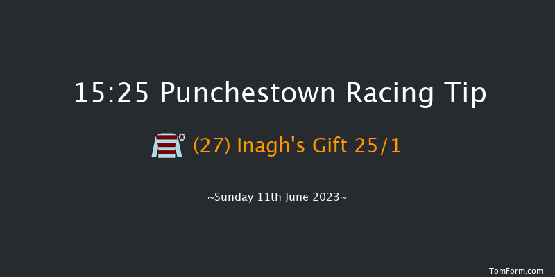 Punchestown 15:25 Handicap Hurdle 20f Sat 10th Jun 2023