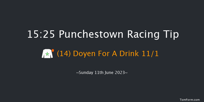Punchestown 15:25 Handicap Hurdle 20f Sat 10th Jun 2023