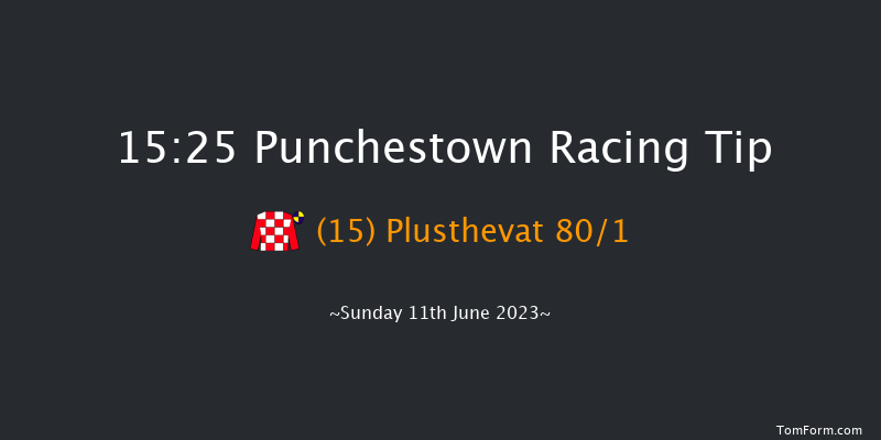 Punchestown 15:25 Handicap Hurdle 20f Sat 10th Jun 2023