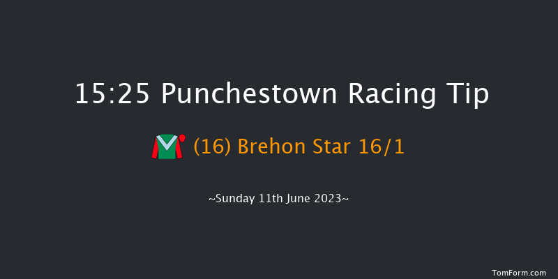 Punchestown 15:25 Handicap Hurdle 20f Sat 10th Jun 2023