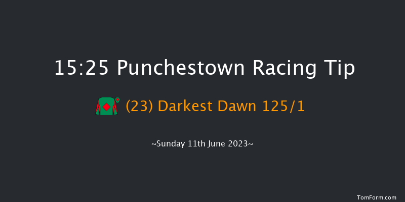 Punchestown 15:25 Handicap Hurdle 20f Sat 10th Jun 2023