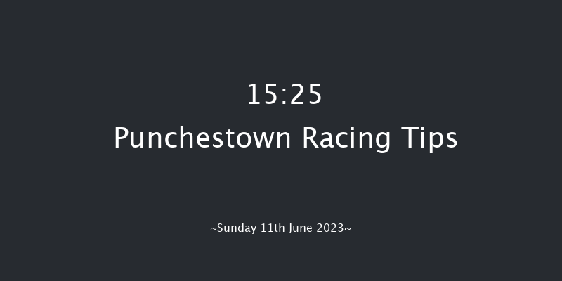 Punchestown 15:25 Handicap Hurdle 20f Sat 10th Jun 2023