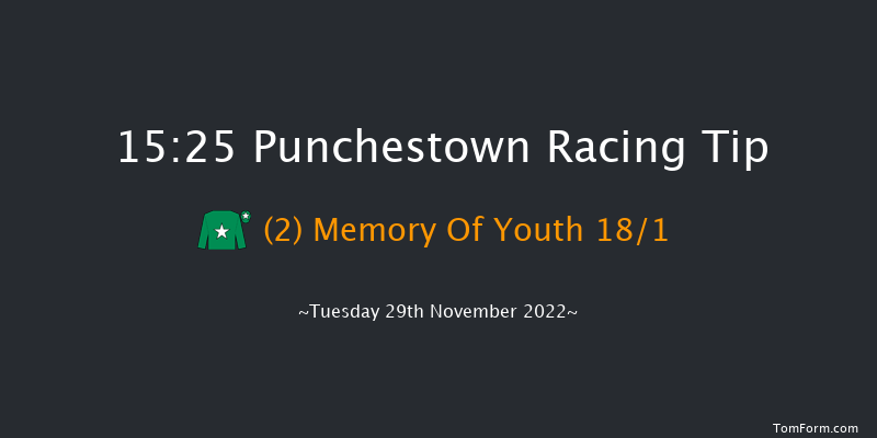 Punchestown 15:25 Handicap Hurdle 22f Sun 20th Nov 2022
