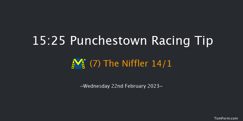 Punchestown 15:25 Handicap Hurdle 24f Sun 19th Feb 2023