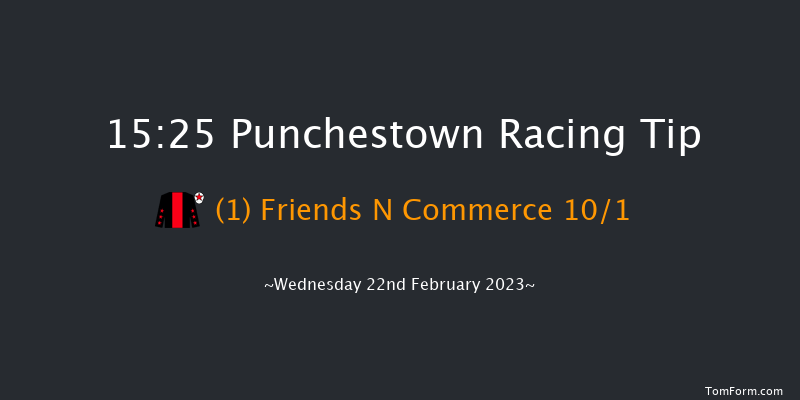 Punchestown 15:25 Handicap Hurdle 24f Sun 19th Feb 2023