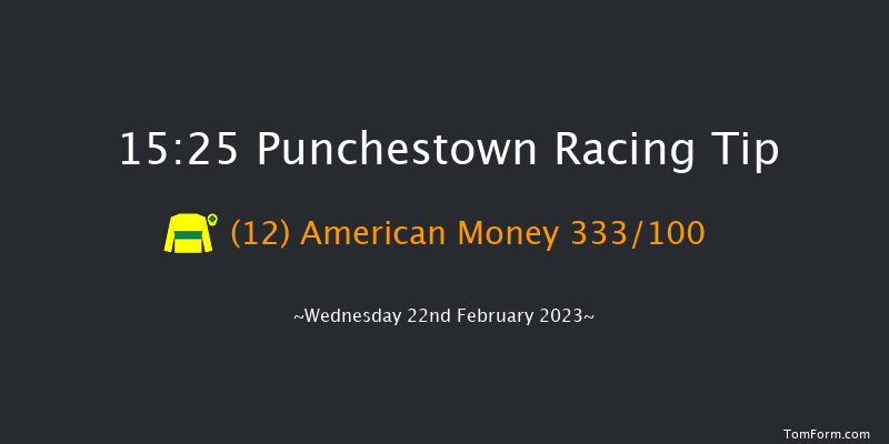 Punchestown 15:25 Handicap Hurdle 24f Sun 19th Feb 2023