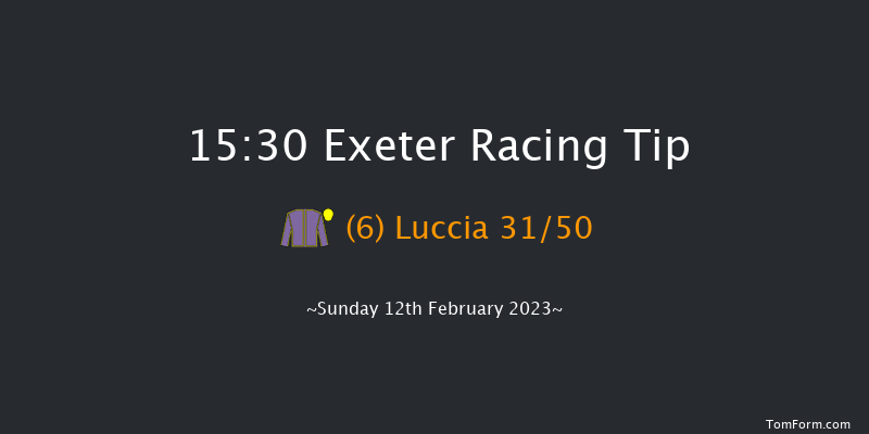 Exeter 15:30 Novices Hurdle (Class 1) 17f Wed 1st Feb 2023