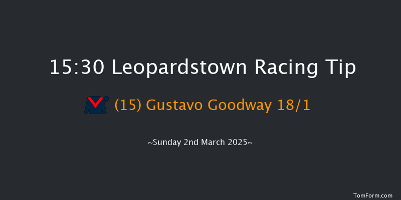 Leopardstown  15:30 Handicap Hurdle 16f Sun 2nd Feb 2025