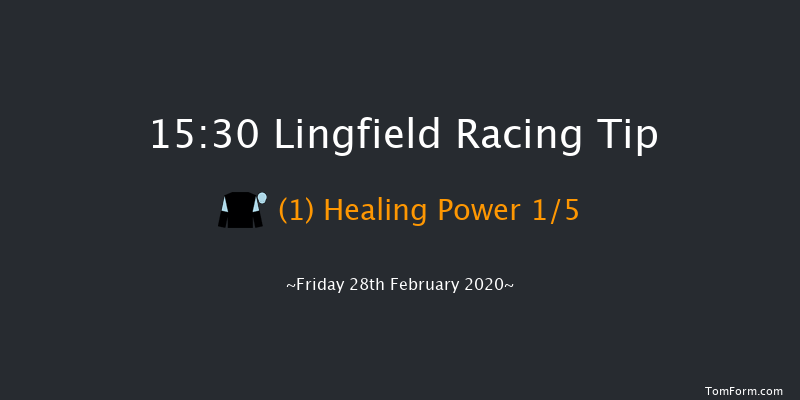 Ladbrokes Where The Nation Plays Novice Stakes Lingfield 15:30 Stakes (Class 5) 7f Tue 25th Feb 2020